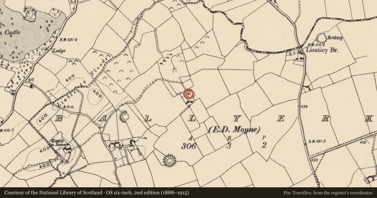 Ordnance Survey six-inch map, 2nd edition (1888–1915) covering the location of Ringfort - rath, Ballyerk (Moyne Par.), County Tipperary North, with a pin at the register's coordinates