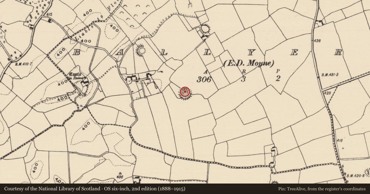 Ordnance Survey six-inch map, 2nd edition (1888–1915) covering the location of Ringfort - rath, Ballyerk (Moyne Par.), County Tipperary North, with a pin at the register's coordinates