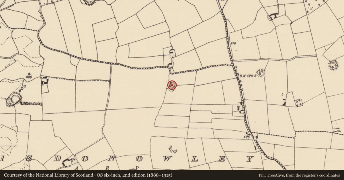 Ordnance Survey six-inch map, 2nd edition (1888–1915) covering the location of Ringfort - rath, Lisdonowley, County Tipperary North, with a pin at the register's coordinates