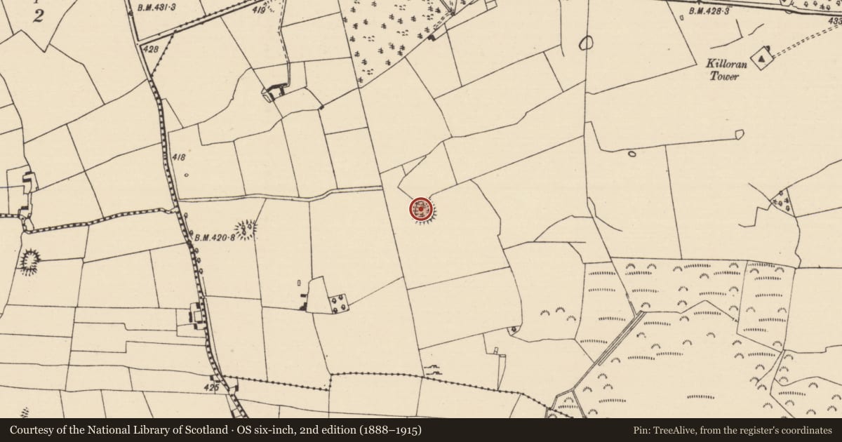 Ordnance Survey six-inch map, 2nd edition (1888–1915) covering the location of Ringfort - rath, Killoran (Moyne Par.), County Tipperary North, with a pin at the register's coordinates