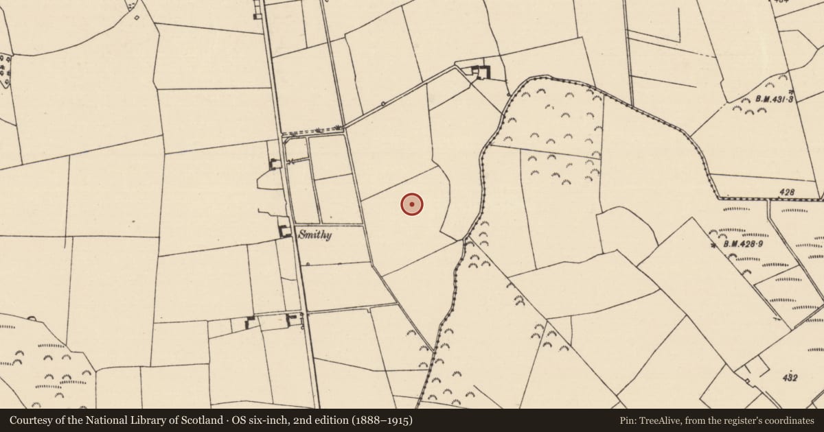 Ordnance Survey six-inch map, 2nd edition (1888–1915) covering the location of Enclosure, Killoran (Moyne Par.), County Tipperary North, with a pin at the register's coordinates