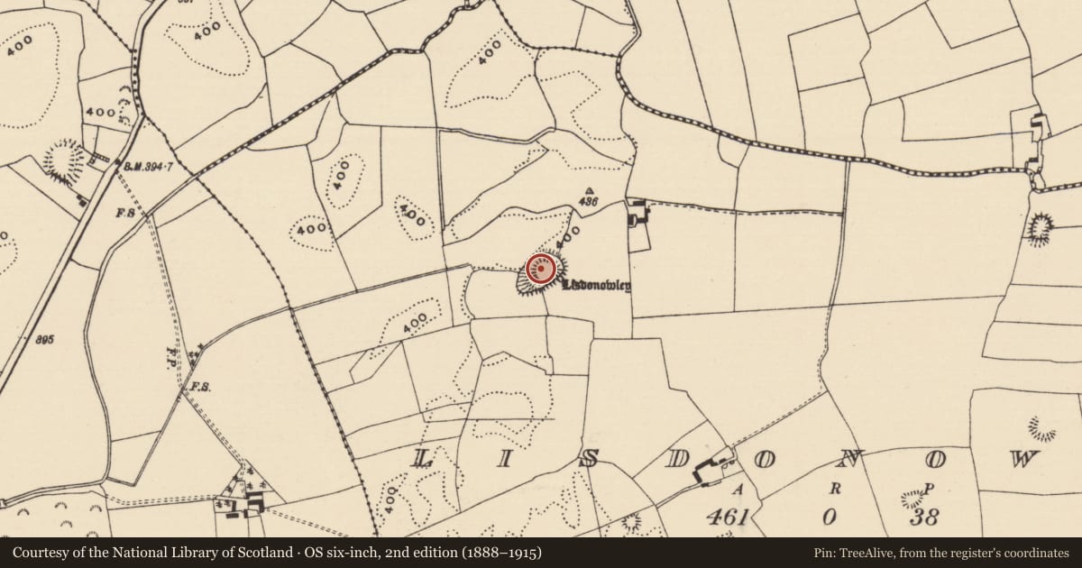 Ordnance Survey six-inch map, 2nd edition (1888–1915) covering the location of Castle - ringwork, Lisdonowley, County Tipperary North, with a pin at the register's coordinates