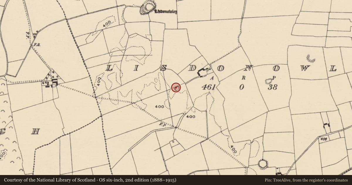 Ordnance Survey six-inch map, 2nd edition (1888–1915) covering the location of Enclosure, Lisdonowley, County Tipperary North, with a pin at the register's coordinates