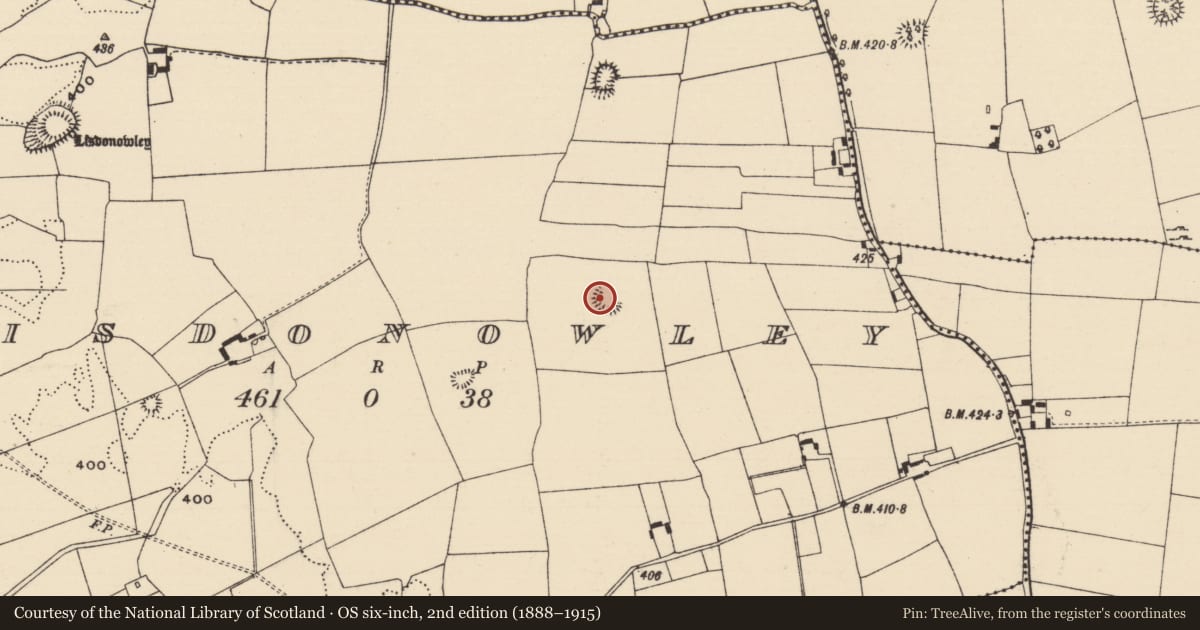 Ordnance Survey six-inch map, 2nd edition (1888–1915) covering the location of Ringfort - rath, Lisdonowley, County Tipperary North, with a pin at the register's coordinates