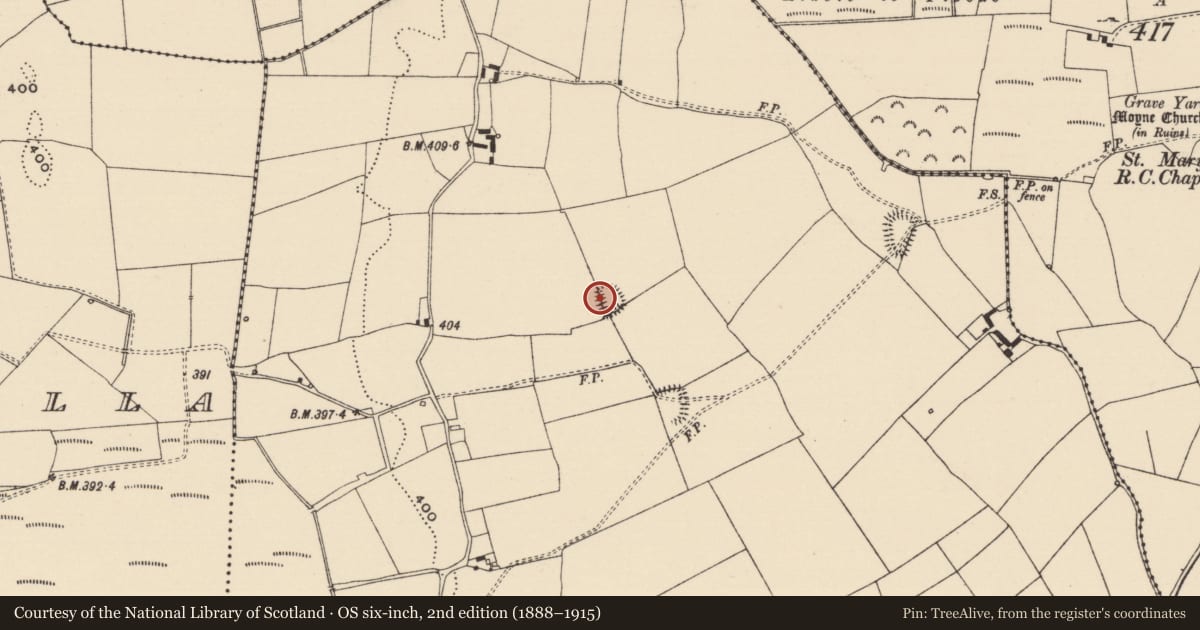 Ordnance Survey six-inch map, 2nd edition (1888–1915) covering the location of Enclosure, Moyneard, County Tipperary North, with a pin at the register's coordinates