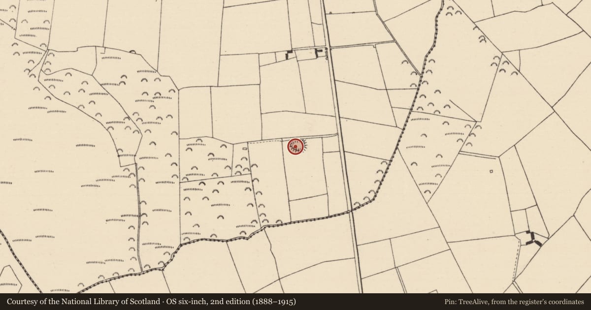 Ordnance Survey six-inch map, 2nd edition (1888–1915) covering the location of Ringfort - rath, Killoran (Moyne Par.), County Tipperary North, with a pin at the register's coordinates