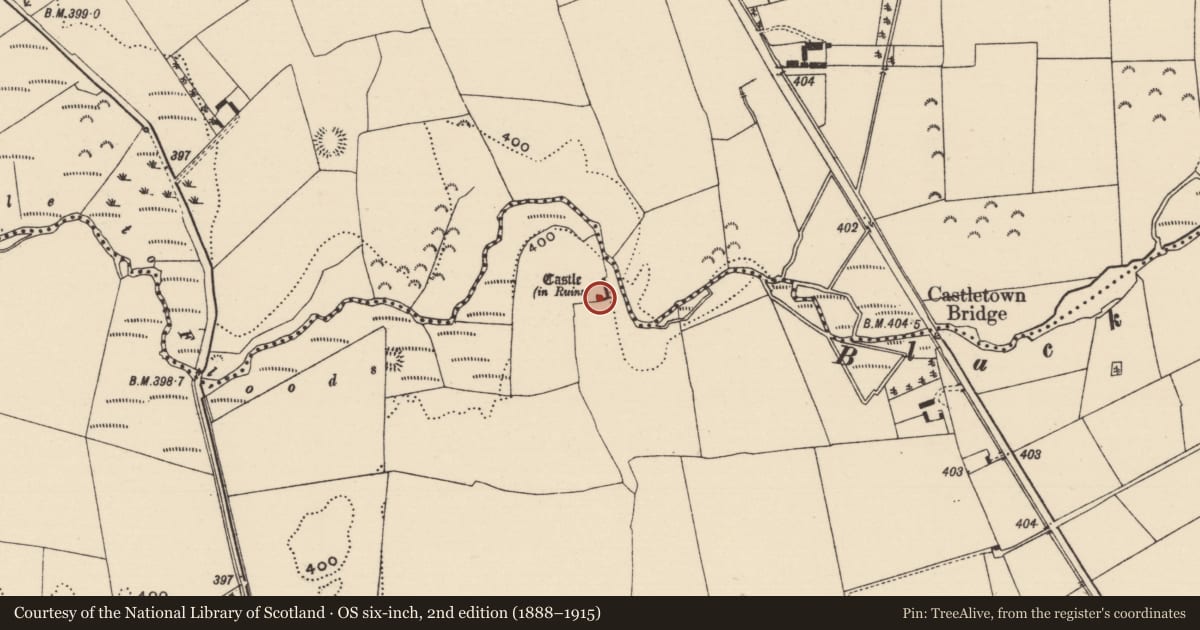 Ordnance Survey six-inch map, 2nd edition (1888–1915) covering the location of Bawn, Castletown (Moyne Par.), County Tipperary North, with a pin at the register's coordinates