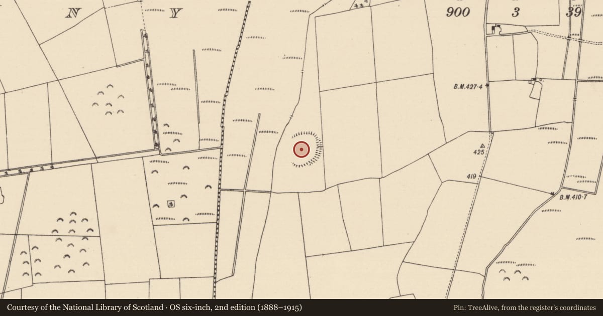 Ordnance Survey six-inch map, 2nd edition (1888–1915) covering the location of Enclosure, Derryfadda, County Tipperary North, with a pin at the register's coordinates