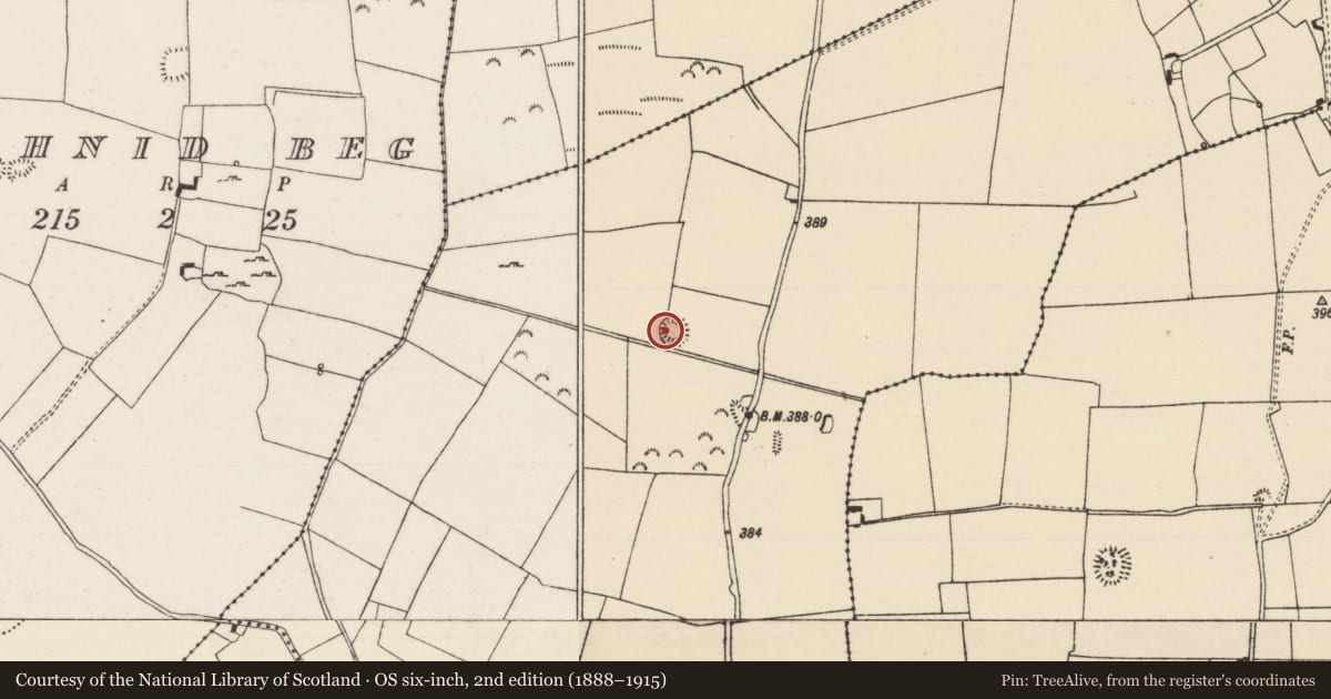 Ordnance Survey six-inch map, 2nd edition (1888–1915) covering the location of Ringfort - rath, Rahelty, County Tipperary North, with a pin at the register's coordinates