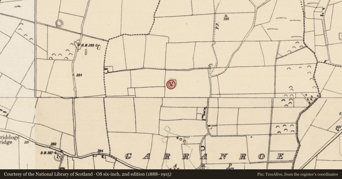 Ordnance Survey six-inch map, 2nd edition (1888–1915) covering the location of Enclosure, Garranroe, County Tipperary North, with a pin at the register's coordinates