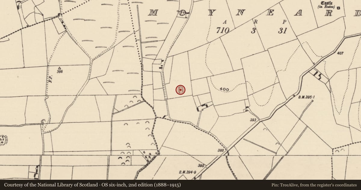 Ordnance Survey six-inch map, 2nd edition (1888–1915) covering the location of Earthwork, Moyneard, County Tipperary North, with a pin at the register's coordinates