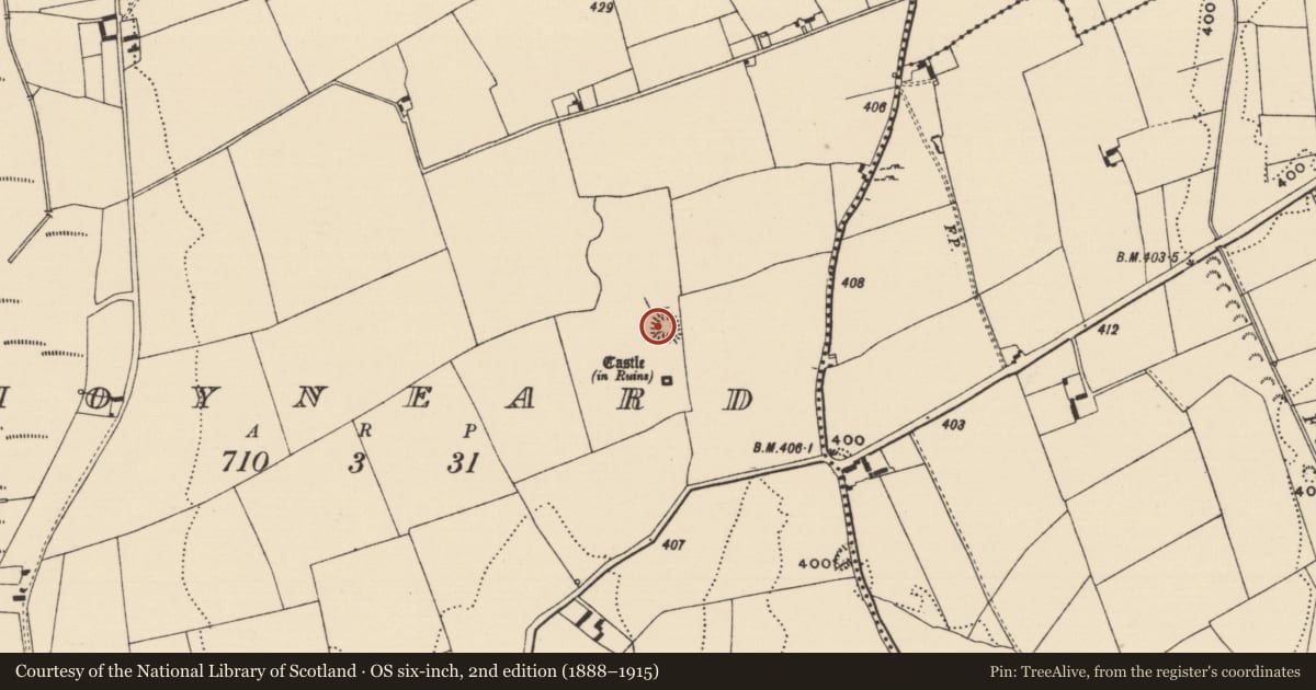 Ordnance Survey six-inch map, 2nd edition (1888–1915) covering the location of Ringfort - rath, Moyneard, County Tipperary North, with a pin at the register's coordinates