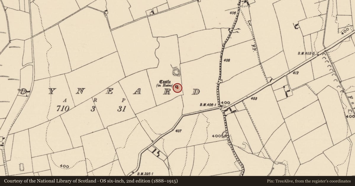 Ordnance Survey six-inch map, 2nd edition (1888–1915) covering the location of Castle - tower house, Moyneard, County Tipperary North, with a pin at the register's coordinates