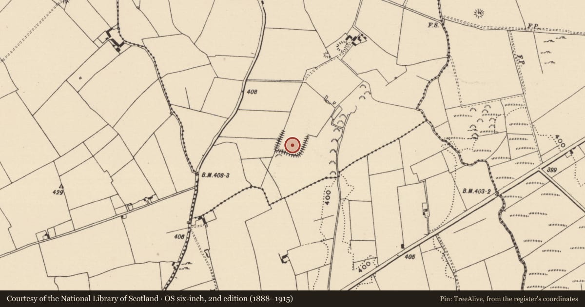 Ordnance Survey six-inch map, 2nd edition (1888–1915) covering the location of Moated site, Moynetemple, County Tipperary North, with a pin at the register's coordinates