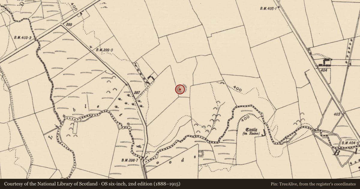 Ordnance Survey six-inch map, 2nd edition (1888–1915) covering the location of Ringfort - rath, Cooleeny, County Tipperary North, with a pin at the register's coordinates