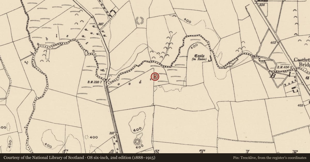 Ordnance Survey six-inch map, 2nd edition (1888–1915) covering the location of Enclosure, Castletown (Moyne Par.), County Tipperary North, with a pin at the register's coordinates