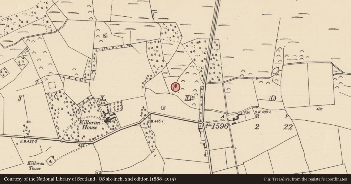 Ordnance Survey six-inch map, 2nd edition (1888–1915) covering the location of Fulacht fia, Killoran (Moyne Par.), County Tipperary North, with a pin at the register's coordinates