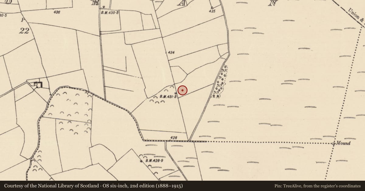 Ordnance Survey six-inch map, 2nd edition (1888–1915) covering the location of Burnt pit, Killoran (Moyne Par.), County Tipperary North, with a pin at the register's coordinates
