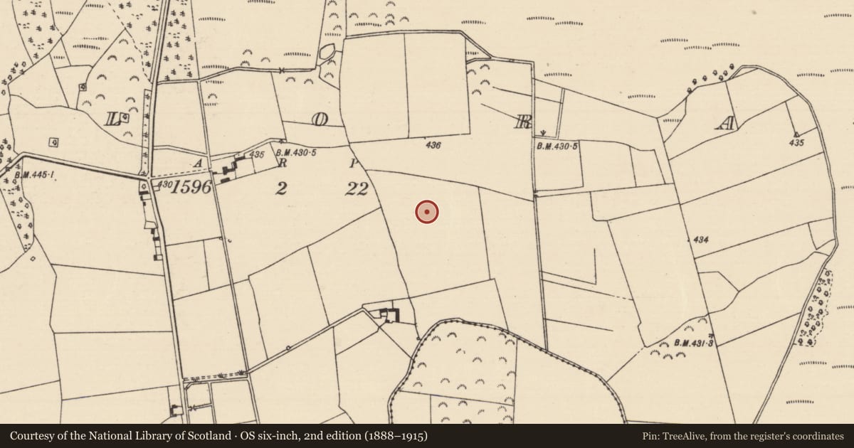 Ordnance Survey six-inch map, 2nd edition (1888–1915) covering the location of Pit-burial, Killoran (Moyne Par.), County Tipperary North, with a pin at the register's coordinates
