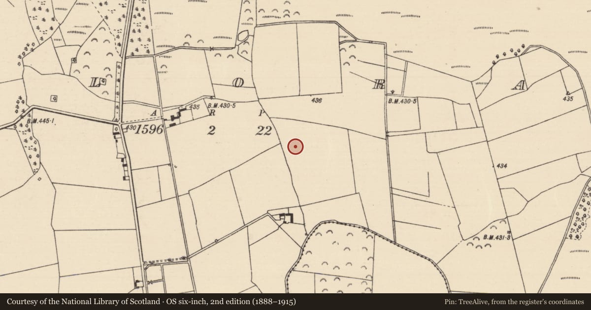 Ordnance Survey six-inch map, 2nd edition (1888–1915) covering the location of Fulacht fia, Killoran (Moyne Par.), County Tipperary North, with a pin at the register's coordinates