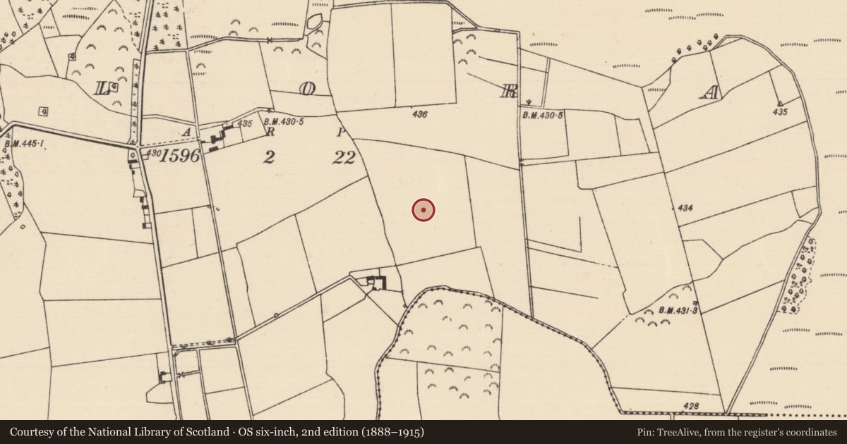 Ordnance Survey six-inch map, 2nd edition (1888–1915) covering the location of Pit-burial, Killoran (Moyne Par.), County Tipperary North, with a pin at the register's coordinates