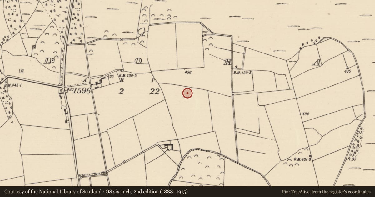 Ordnance Survey six-inch map, 2nd edition (1888–1915) covering the location of Pit-burial, Killoran (Moyne Par.), County Tipperary North, with a pin at the register's coordinates