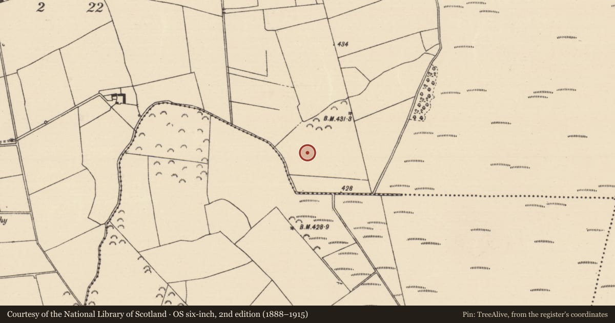 Ordnance Survey six-inch map, 2nd edition (1888–1915) covering the location of Flat cemetery, Killoran (Moyne Par.), County Tipperary North, with a pin at the register's coordinates