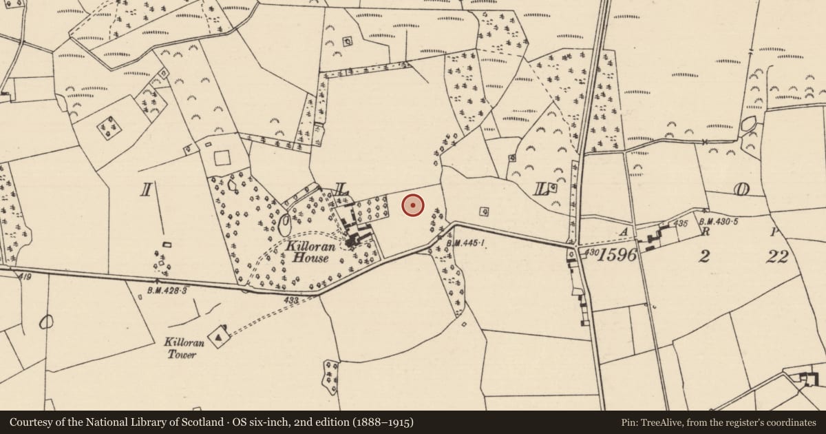 Ordnance Survey six-inch map, 2nd edition (1888–1915) covering the location of Burnt pit, Killoran (Moyne Par.), County Tipperary North, with a pin at the register's coordinates