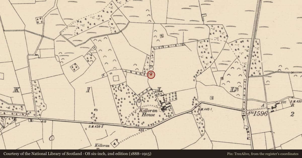 Ordnance Survey six-inch map, 2nd edition (1888–1915) covering the location of Burnt mound, Killoran (Moyne Par.), County Tipperary North, with a pin at the register's coordinates