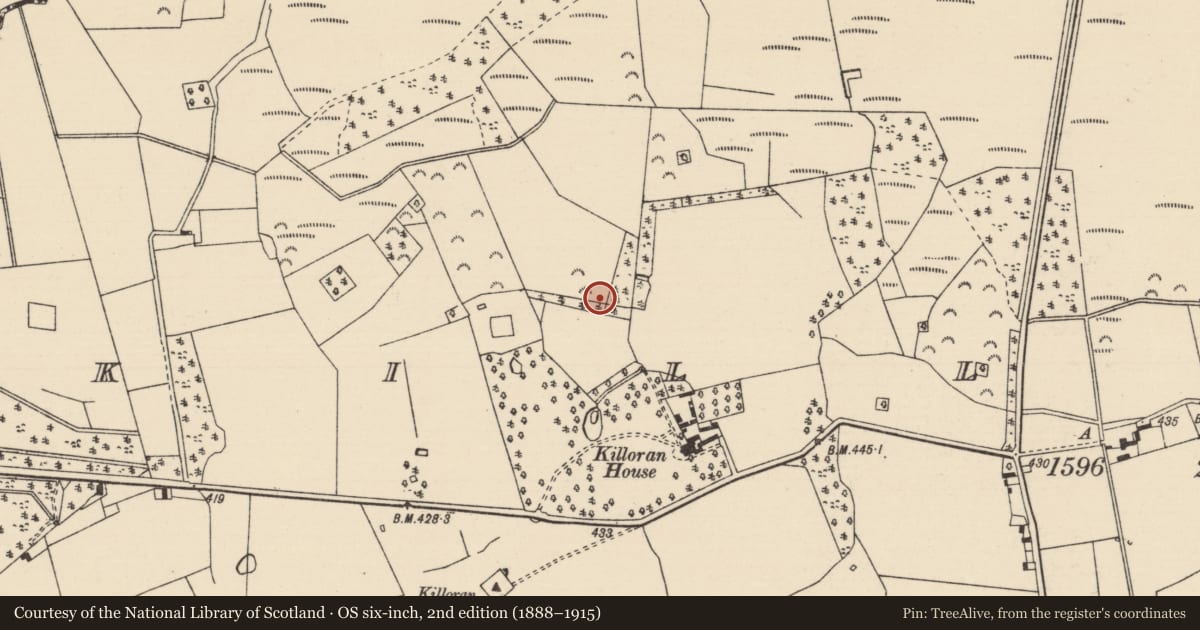 Ordnance Survey six-inch map, 2nd edition (1888–1915) covering the location of Burnt mound, Killoran (Moyne Par.), County Tipperary North, with a pin at the register's coordinates
