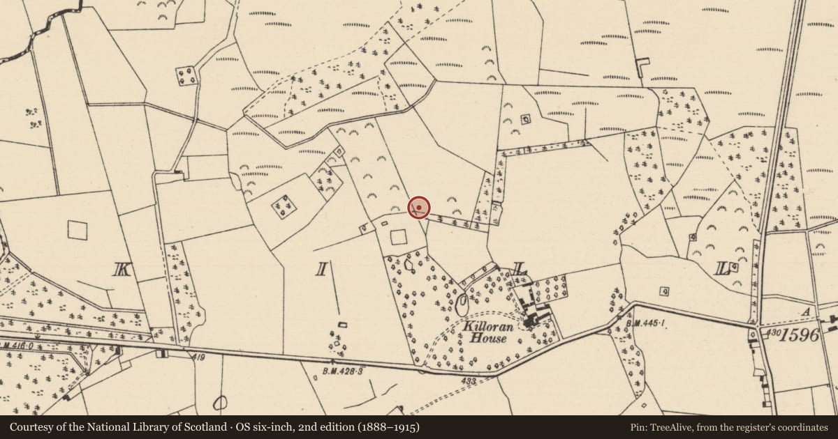 Ordnance Survey six-inch map, 2nd edition (1888–1915) covering the location of Fulacht fia, Killoran (Moyne Par.), County Tipperary North, with a pin at the register's coordinates
