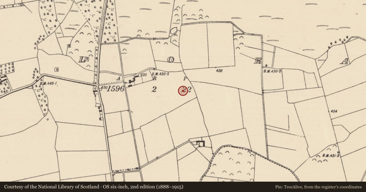 Ordnance Survey six-inch map, 2nd edition (1888–1915) covering the location of Burnt pit, Killoran (Moyne Par.), County Tipperary North, with a pin at the register's coordinates