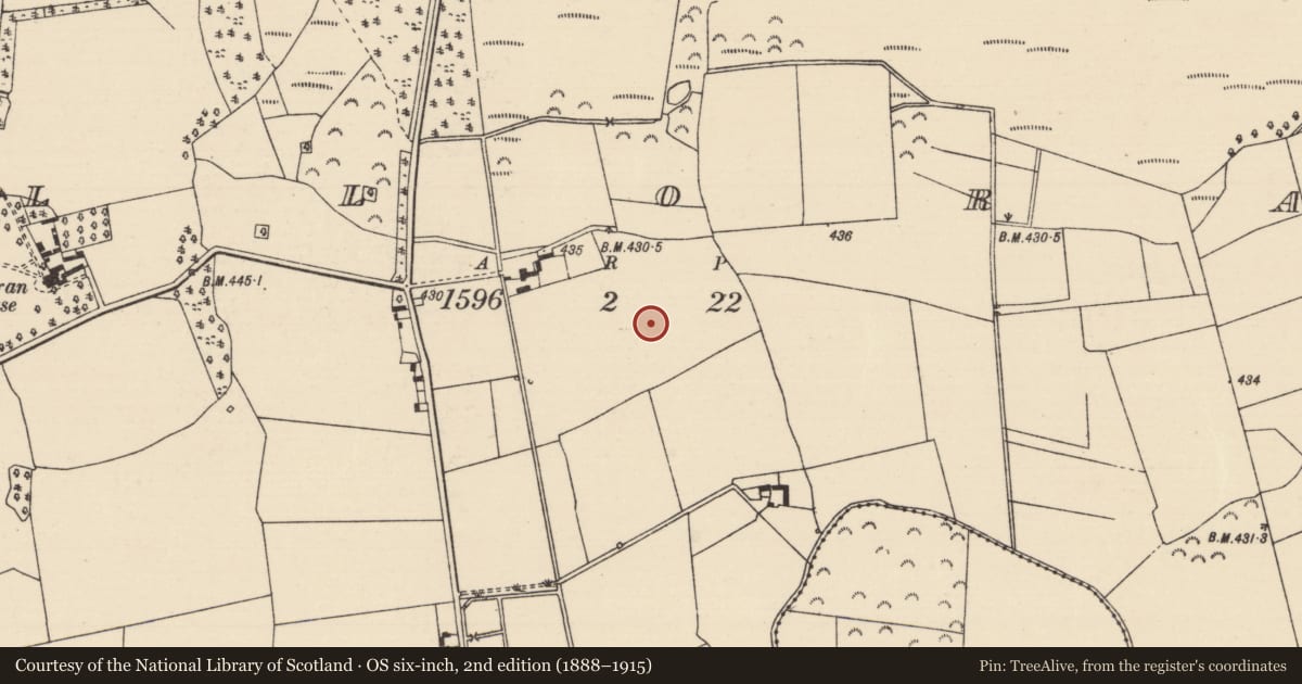 Ordnance Survey six-inch map, 2nd edition (1888–1915) covering the location of House - indeterminate date, Killoran (Moyne Par.), County Tipperary North, with a pin at the register's coordinates