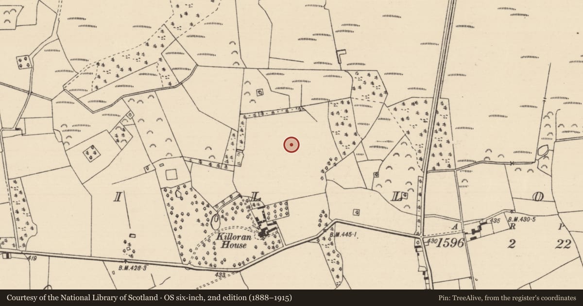 Ordnance Survey six-inch map, 2nd edition (1888–1915) covering the location of Burnt pit, Killoran (Moyne Par.), County Tipperary North, with a pin at the register's coordinates