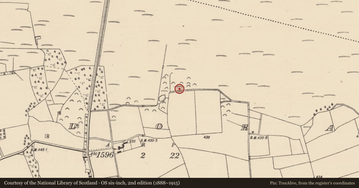 Ordnance Survey six-inch map, 2nd edition (1888–1915) covering the location of Fulacht fia, Killoran (Moyne Par.), County Tipperary North, with a pin at the register's coordinates