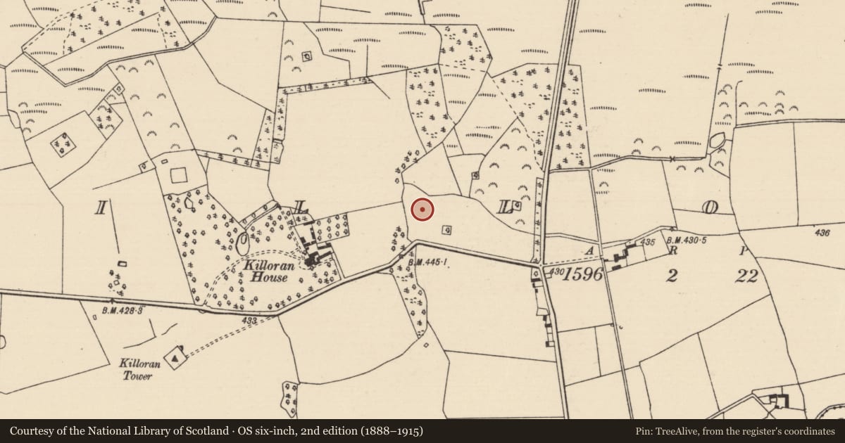 Ordnance Survey six-inch map, 2nd edition (1888–1915) covering the location of Fulacht fia, Killoran (Moyne Par.), County Tipperary North, with a pin at the register's coordinates