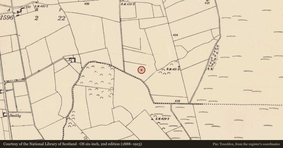 Ordnance Survey six-inch map, 2nd edition (1888–1915) covering the location of Fulacht fia, Killoran (Moyne Par.), County Tipperary North, with a pin at the register's coordinates