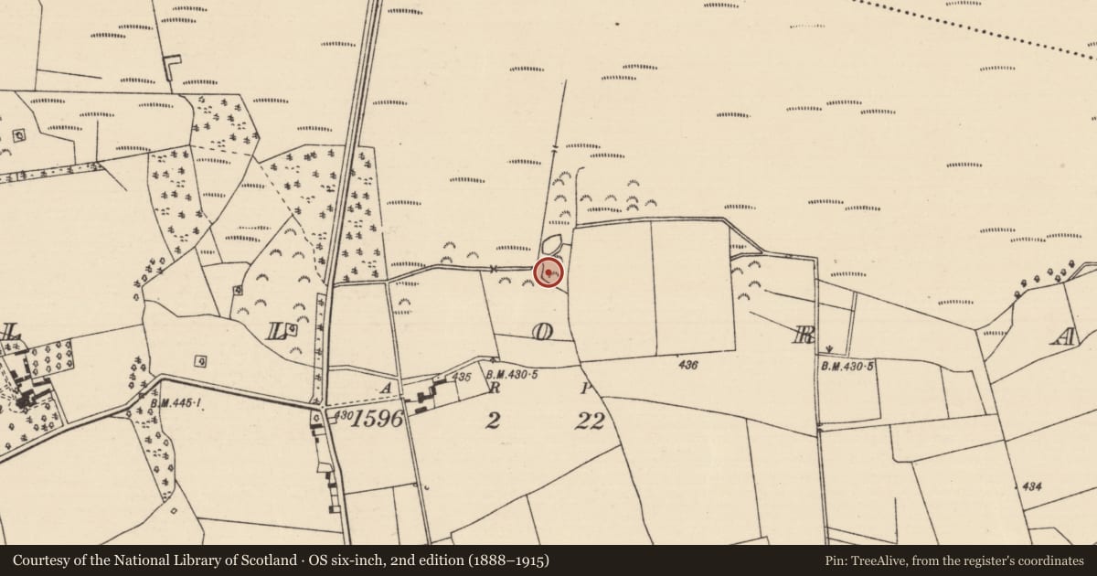 Ordnance Survey six-inch map, 2nd edition (1888–1915) covering the location of Fulacht fia, Killoran (Moyne Par.), County Tipperary North, with a pin at the register's coordinates
