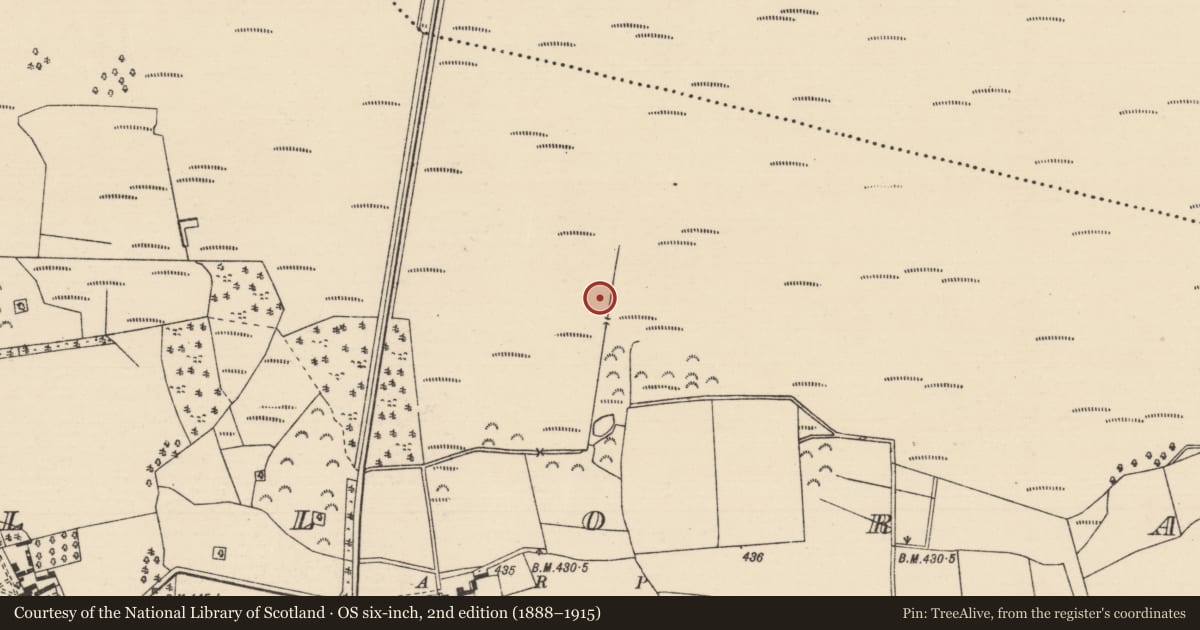 Ordnance Survey six-inch map, 2nd edition (1888–1915) covering the location of Fulacht fia, Killoran (Moyne Par.), County Tipperary North, with a pin at the register's coordinates