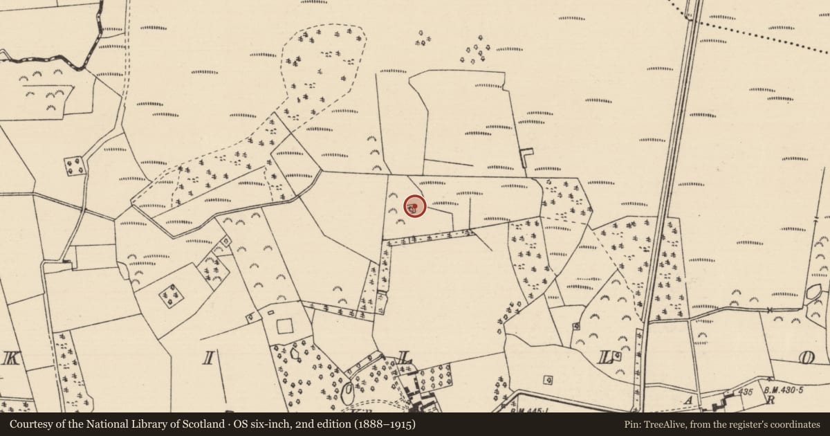 Ordnance Survey six-inch map, 2nd edition (1888–1915) covering the location of Pit-burial, Killoran (Moyne Par.), County Tipperary North, with a pin at the register's coordinates