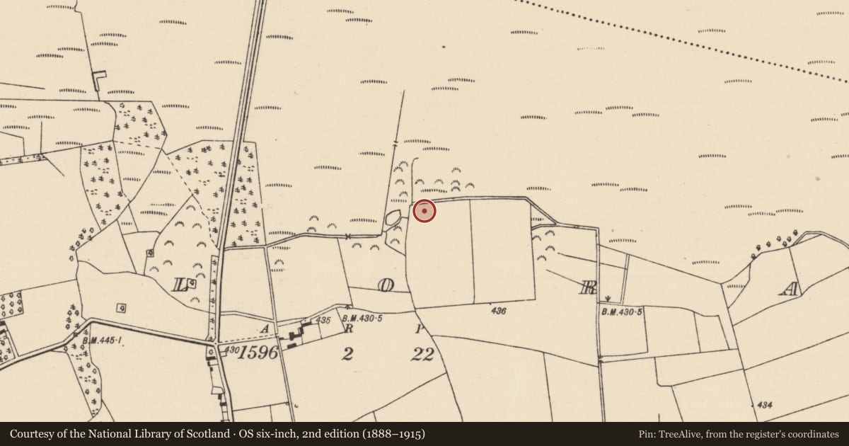 Ordnance Survey six-inch map, 2nd edition (1888–1915) covering the location of Burnt mound, Killoran (Moyne Par.), County Tipperary North, with a pin at the register's coordinates