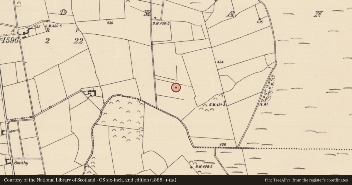 Ordnance Survey six-inch map, 2nd edition (1888–1915) covering the location of Fulacht fia, Killoran (Moyne Par.), County Tipperary North, with a pin at the register's coordinates