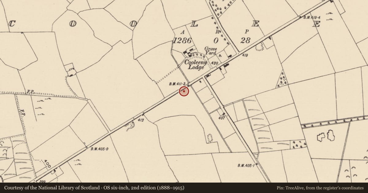 Ordnance Survey six-inch map, 2nd edition (1888–1915) covering the location of Fulacht fia, Killoran (Moyne Par.), County Tipperary North, with a pin at the register's coordinates