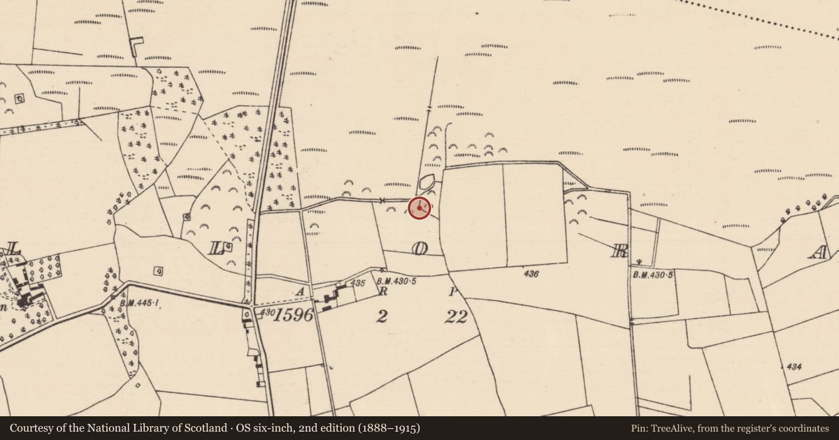 Ordnance Survey six-inch map, 2nd edition (1888–1915) covering the location of Fulacht fia, Killoran (Moyne Par.), County Tipperary North, with a pin at the register's coordinates