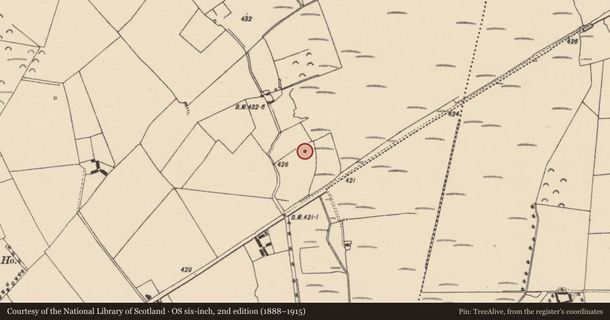 Ordnance Survey six-inch map, 2nd edition (1888–1915) covering the location of Fulacht fia, Cooleeny, County Tipperary North, with a pin at the register's coordinates