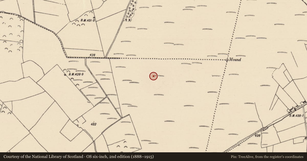 Ordnance Survey six-inch map, 2nd edition (1888–1915) covering the location of Road - unclassified togher, Cooleeny, County Tipperary North, with a pin at the register's coordinates