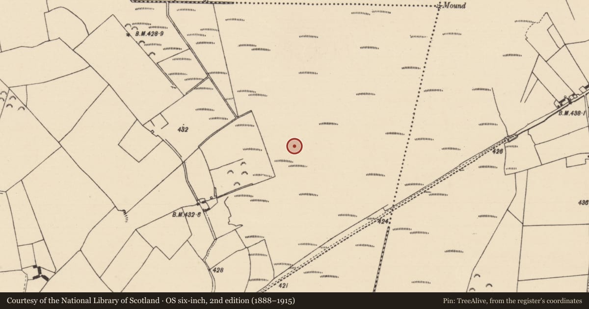 Ordnance Survey six-inch map, 2nd edition (1888–1915) covering the location of Road - unclassified togher, Cooleeny, County Tipperary North, with a pin at the register's coordinates