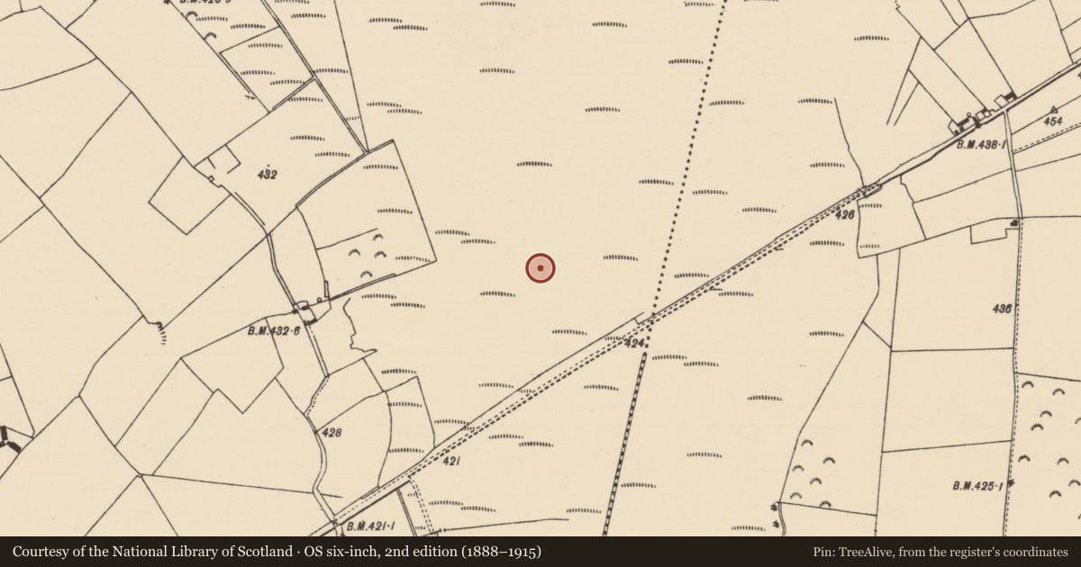 Ordnance Survey six-inch map, 2nd edition (1888–1915) covering the location of Road - unclassified togher, Cooleeny, County Tipperary North, with a pin at the register's coordinates