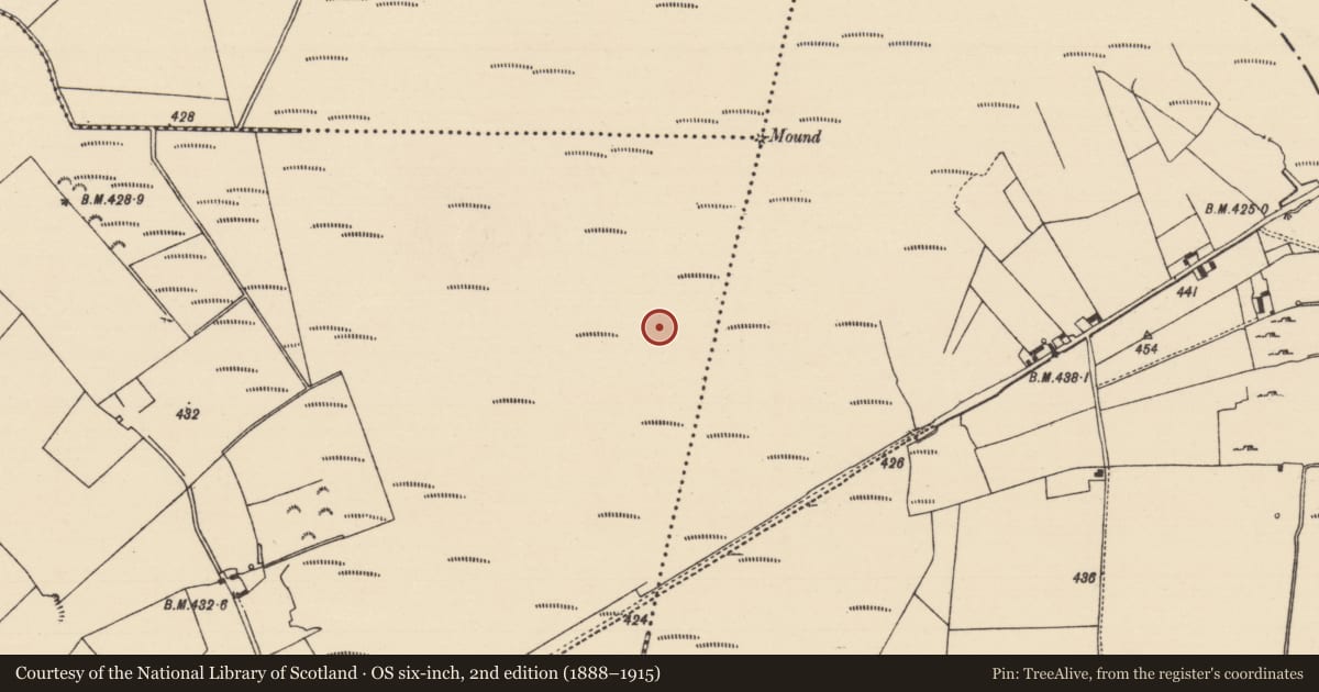 Ordnance Survey six-inch map, 2nd edition (1888–1915) covering the location of Road - unclassified togher, Cooleeny, County Tipperary North, with a pin at the register's coordinates