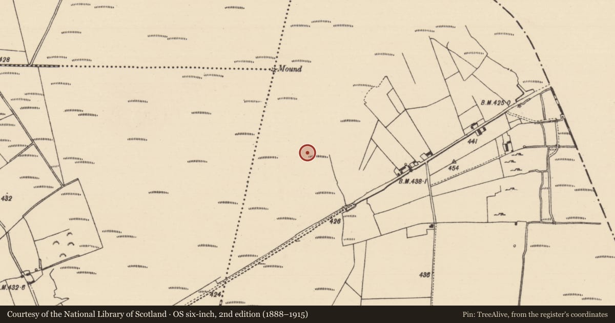 Ordnance Survey six-inch map, 2nd edition (1888–1915) covering the location of Platform - peatland, Derryfadda, County Tipperary North, with a pin at the register's coordinates